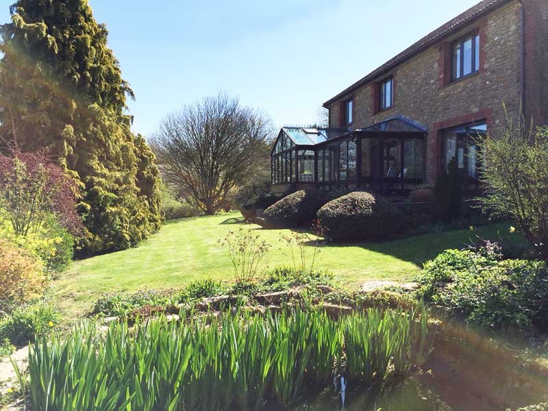 the back garden at Belfry House